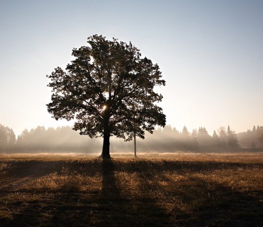 Shpirti në momentet e vdekjes