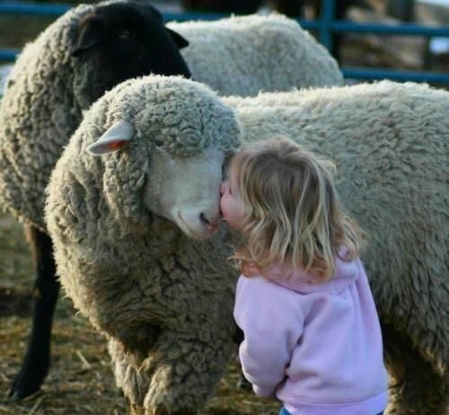 Si të përgatitem nga ana fetare kur më lind një foshnje?