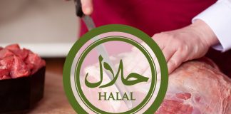 Pse i kushton Islami kaç shumë rëndësi ushqimit hallall?