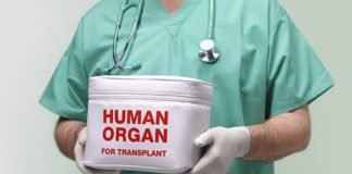A lejohet transplantimi i organeve të trupit?