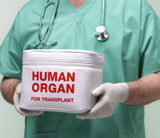 A lejohet transplantimi i organeve të trupit?