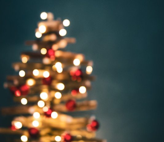 A lejohet dekorimi i bredhit nëse nuk i feston festat e fundvitit?