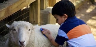 A duhet bërë akika për fëmijën jashtëmartesor?