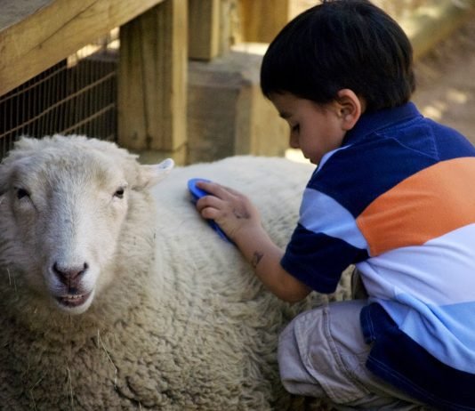 A duhet bërë akika për fëmijën jashtëmartesor?