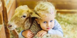 Nuk e kam kryer akikan për fëmijë kur kanë lindur, a ta bëj tani?