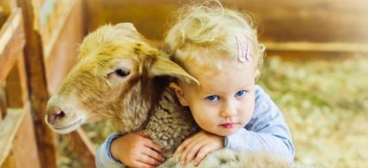 Nuk e kam kryer akikan për fëmijë kur kanë lindur, a ta bëj tani?