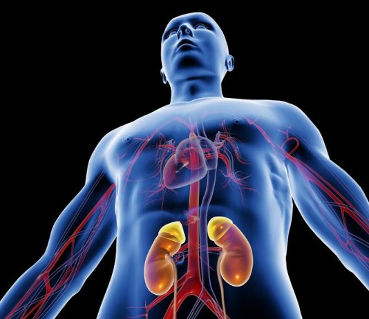 A lejohet dhënia e veshkës për njerëz që kanë nevojë?