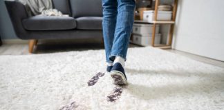 Nëse dikush i cili nuk mund ta mbaj urinën ulet në tepiha, a ju lejohet falja e namazit të tjerëve mbi to?