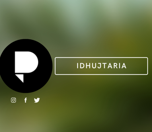 A e përfshinë gjithë idhujtarinë vetëm statujat?