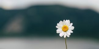 A mund të falemi nëse kemi sekrecion në të brendshmet?