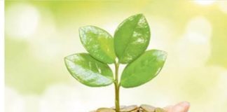 Pse të shpërndajmë sadaka?