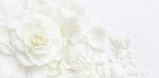 A prishet abdesi nga rrjedhja e menstruacionit të bardhë?