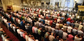 Sa rekate janë teravitë?