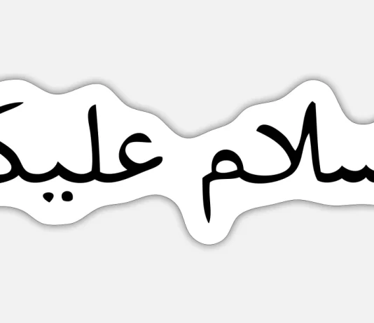 Ai nuk ma kthen selamin, a të ndaloj së përshëndeturi?