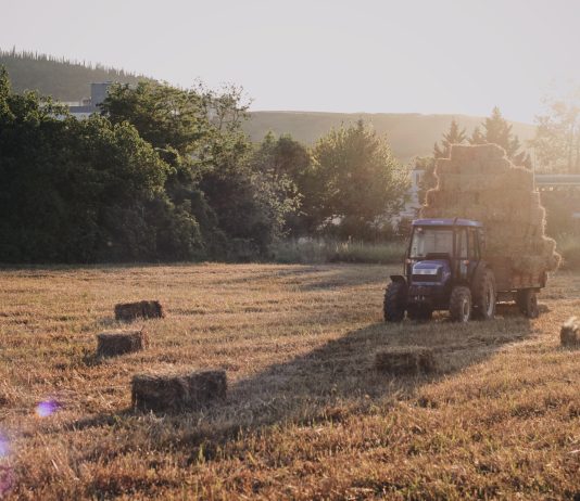 A është puna farz?