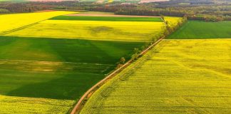 A lejohet kthimi i vakëfit pasi e kemi dhuruar?