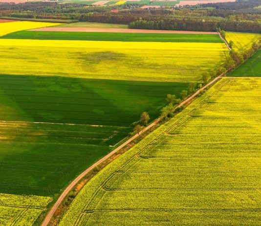 A lejohet kthimi i vakëfit pasi e kemi dhuruar?