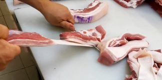 Gjykimi për therrjen e kafshës me dorën e majtë
