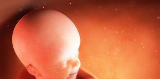 A lejohet aborti i fetusit para dyzet ditësh, në mënyrë që të shmangen shtatzënitë e shpeshta?