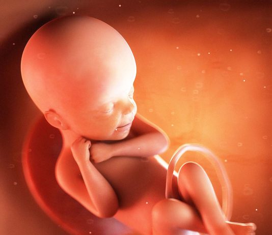 A lejohet aborti i fetusit para dyzet ditësh, në mënyrë që të shmangen shtatzënitë e shpeshta?