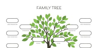 Fëmiu a është gjak i nënës apo i babait?