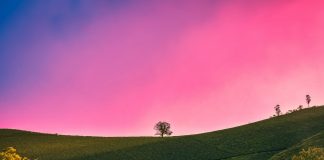 Ai që vdes duke mos i bërë shok Allahut a do të hyjë në Xhenet, nëse ka kryer mëkate të mëdha?