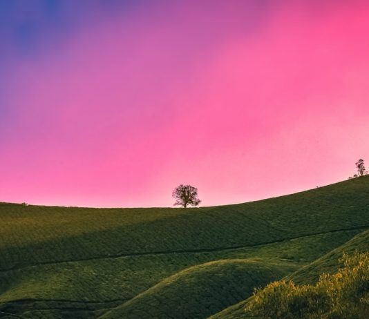 Ai që vdes duke mos i bërë shok Allahut a do të hyjë në Xhenet, nëse ka kryer mëkate të mëdha?