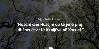Kush ua ka vënë emrat djemve të Fatimes (Allahu qoftë i kënaqur me të), Hasanit dhe Husejnit?