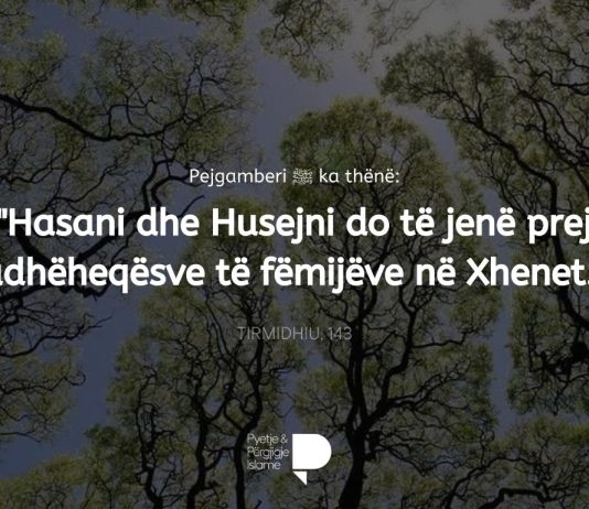 Kush ua ka vënë emrat djemve të Fatimes (Allahu qoftë i kënaqur me të), Hasanit dhe Husejnit?