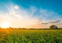 Kush janë evlijatë? Cilat janë gradat apo shkallët e tyre?