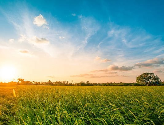 Kush janë evlijatë? Cilat janë gradat apo shkallët e tyre?