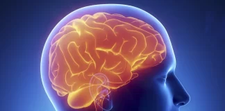 A është e vërtetë se agjërimi ndikon në rritjen e fuqinë së të menduarit?