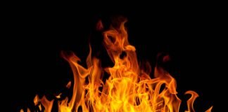 A është Iblisi babai i xhinëve?