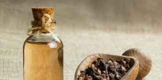 A e prish agjërimin shija e karafilit në mbushjet e dhëmbëve?