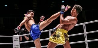 A lejohet puna si trajner i arteve marciale, si për shembull në sportin Muay Thai?