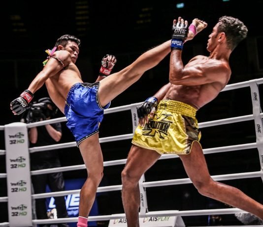 A lejohet puna si trajner i arteve marciale, si për shembull në sportin Muay Thai?