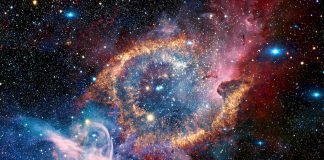 A e shohin engjëjt Allahun në këtë botë?