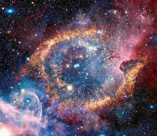 A e shohin engjëjt Allahun në këtë botë?