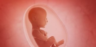 Përdorimi i kontracepsionit për shkak të të ardhurave të ulëta