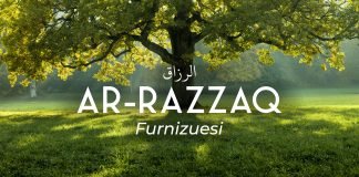 Lidhja mes furnizimit (rizkut) dhe vdekjes