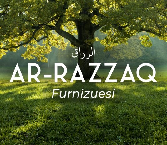 Lidhja mes furnizimit (rizkut) dhe vdekjes