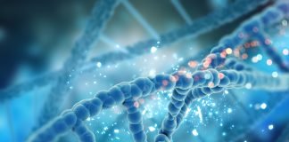 Studimi i gjenetikës; a ka ndonjë të keqe në aspektin sheriatik?