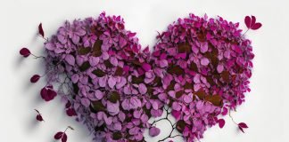 Gjykimi për të shikuar gruan që dëshiron t’i propozosh, më shumë se një herë, dhe të ulesh me të