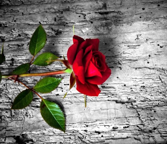 Gjakderdhja e gjatë pas marrëdhënie seksuale për herë të parë?