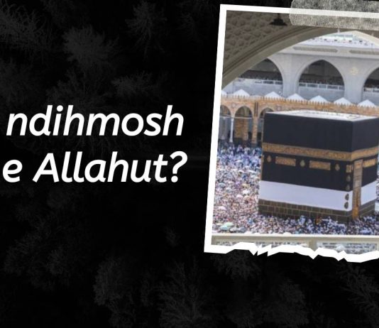 Si ta ndihmosh fenë e Allahut?