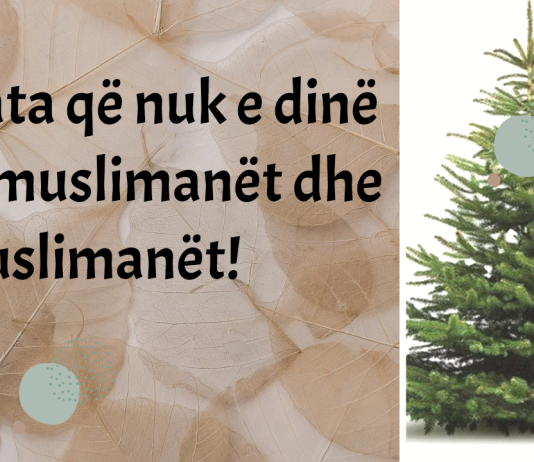 Ku e ka zanafillën tradita e vendosjes së bredhit?
