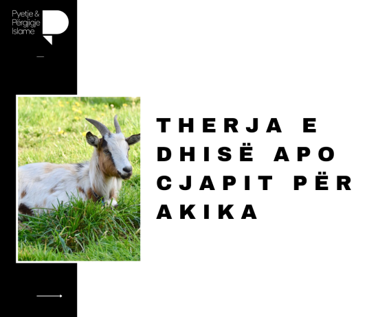 A lejohet therja e dhisë për akika apo jo? Si dhe, a lejohet therja e saj me rastin e martesës?