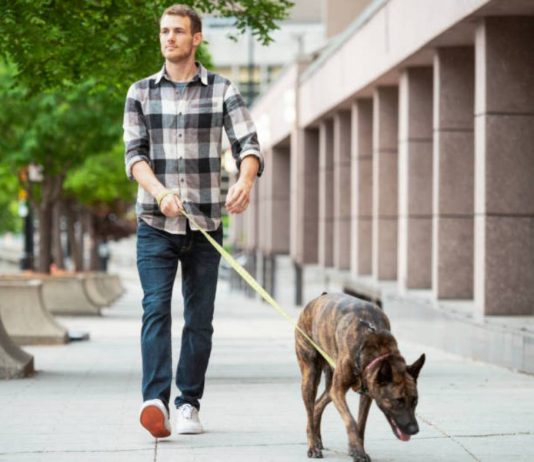 Gjykimi për atë që e preket nga qeni apo qe i preken rrobat e tij!