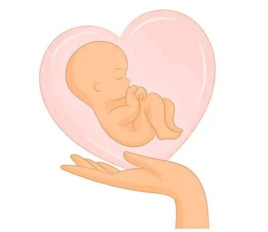 Si e konsideron feja islame surrogacinë?