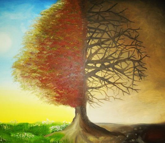 Çka nënkupton besimi në Xhenet dhe Zjarri(Xhehenem)?!